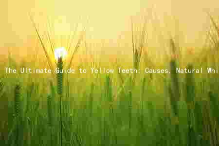 The Ultimate Guide to Yellow Teeth: Causes, Natural Whitening, Best Products, Risks, and Maintenance