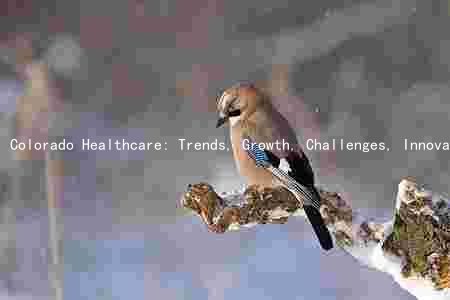 Colorado Healthcare: Trends, Growth, Challenges, Innovations, and Key Players